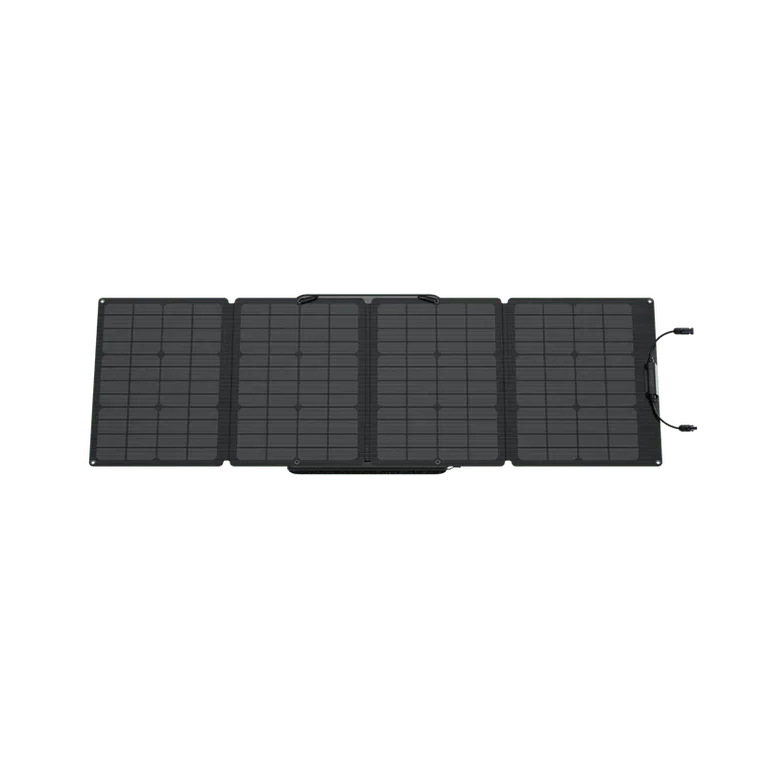 EcoFlow DELTA 1300 + 110W Solar Panel